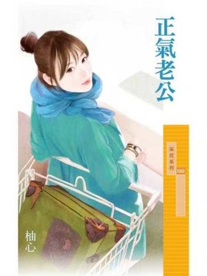 cover image of 正氣老公